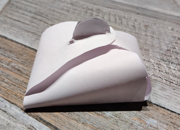 Curved paper box form